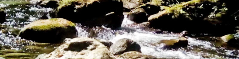 Escuelas propias y procesos de formación en comunicación indígena