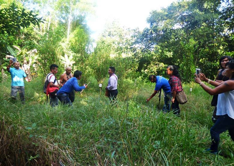 Escuelas propias y procesos de formación en comunicación indígena