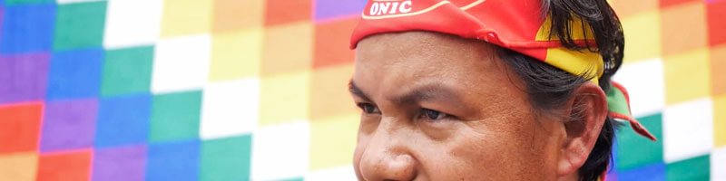 Escuelas propias y procesos de formación en comunicación indígena