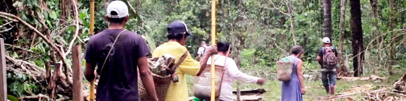 Escuelas propias y procesos de formación en comunicación indígena