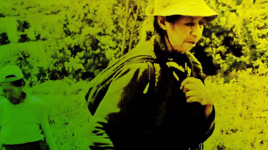 Escuelas propias y procesos de formación en comunicación indígena