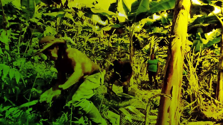 Escuelas propias y procesos de formación en comunicación indígena