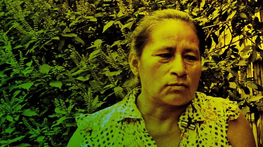 Escuelas propias y procesos de formación en comunicación indígena