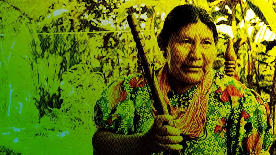 Escuelas propias y procesos de formación en comunicación indígena