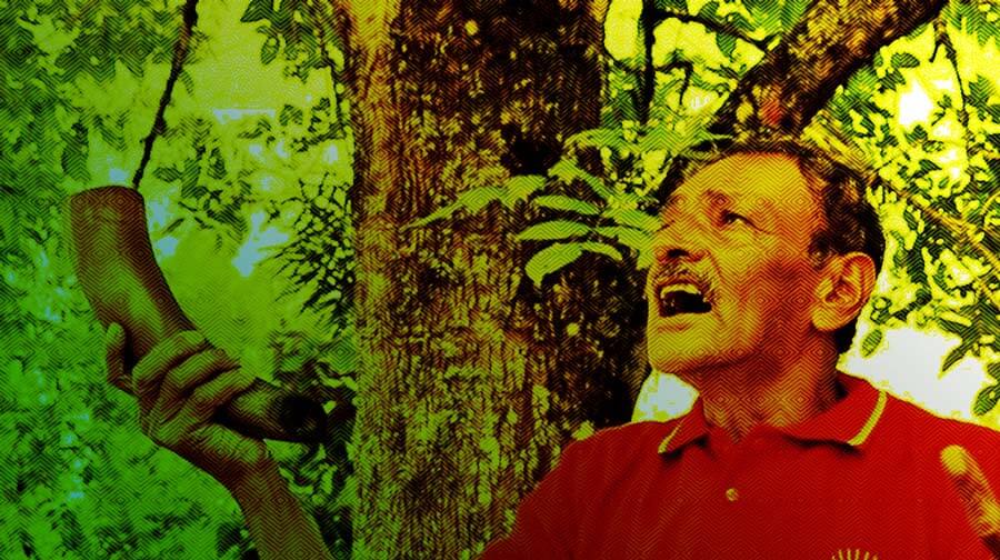 Escuelas propias y procesos de formación en comunicación indígena