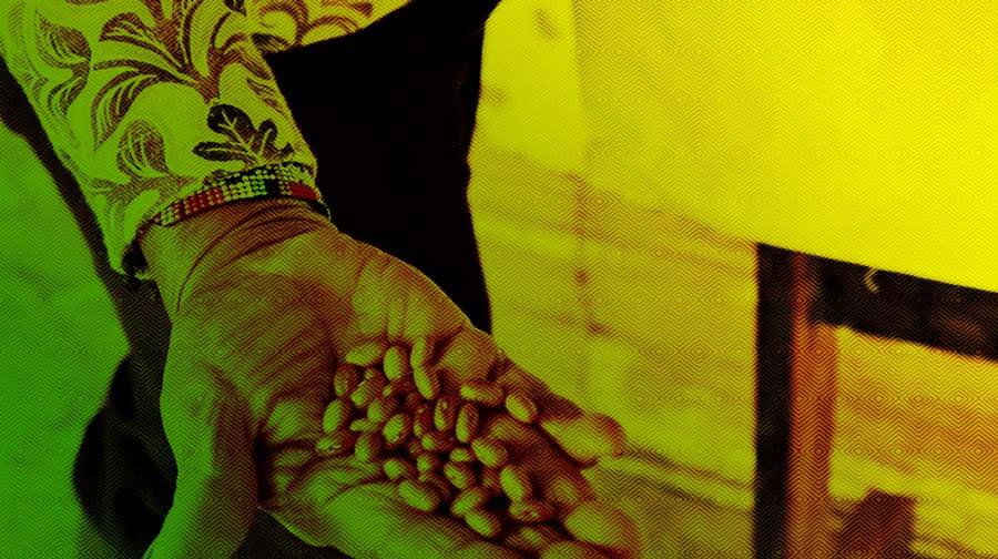 Escuelas propias y procesos de formación en comunicación indígena