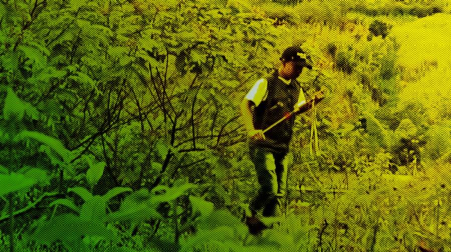 Escuelas propias y procesos de formación en comunicación indígena