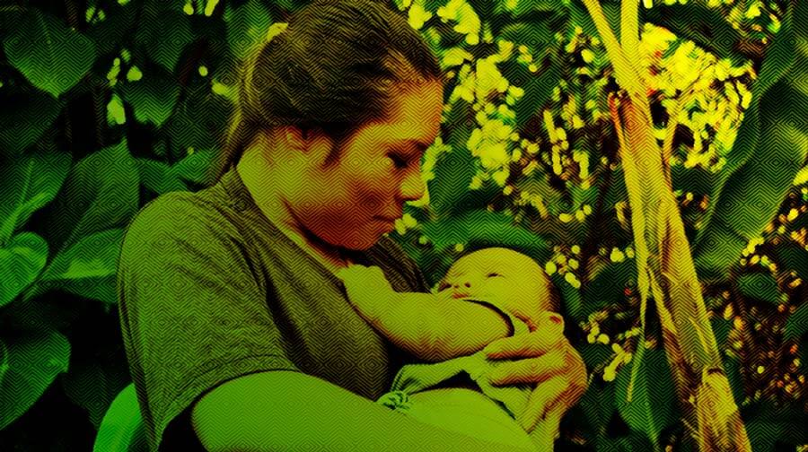 Escuelas propias y procesos de formación en comunicación indígena