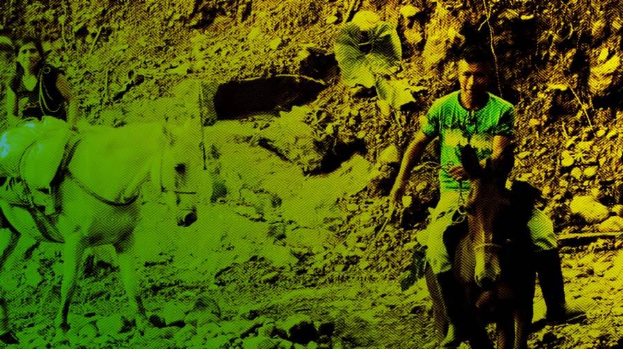 Escuelas propias y procesos de formación en comunicación indígena