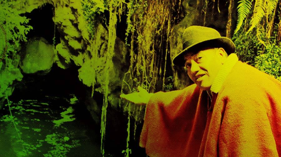 Escuelas propias y procesos de formación en comunicación indígena