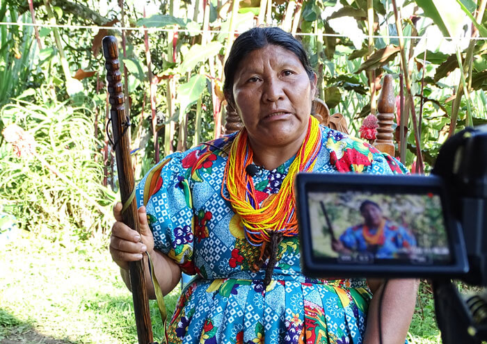 Escuelas propias y procesos de formación en comunicación indígena