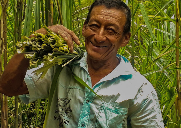 Escuelas propias y procesos de formación en comunicación indígena