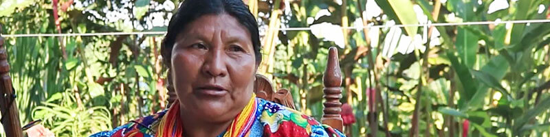 Escuelas propias y procesos de formación en comunicación indígena