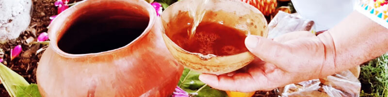 Escuelas propias y procesos de formación en comunicación indígena