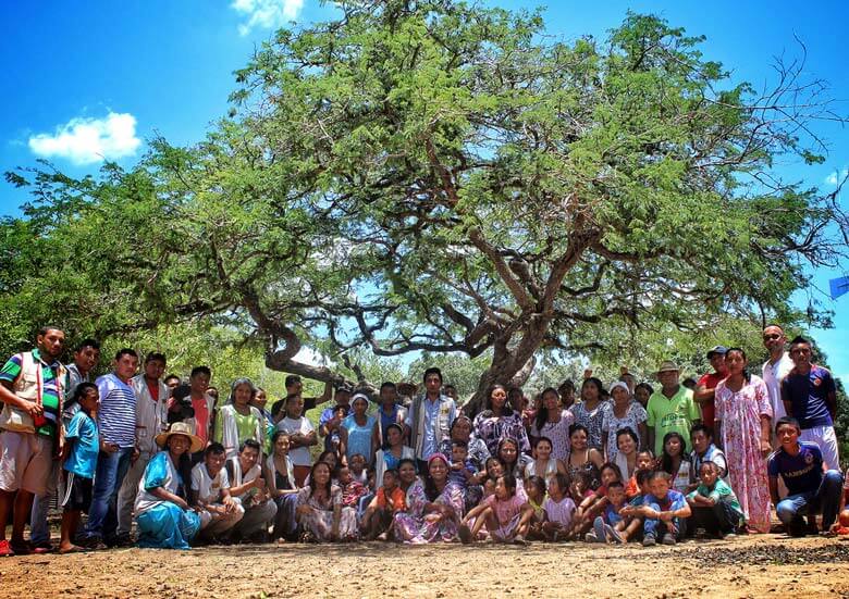 Escuelas propias y procesos de formación en comunicación indígena