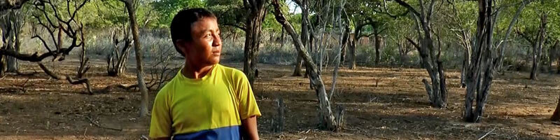 Escuelas propias y procesos de formación en comunicación indígena