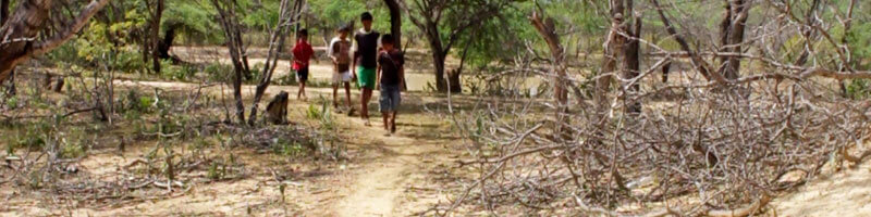 Escuelas propias y procesos de formación en comunicación indígena