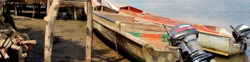 Escuelas propias y procesos de formación en comunicación indígena