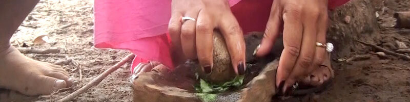 Escuelas propias y procesos de formación en comunicación indígena