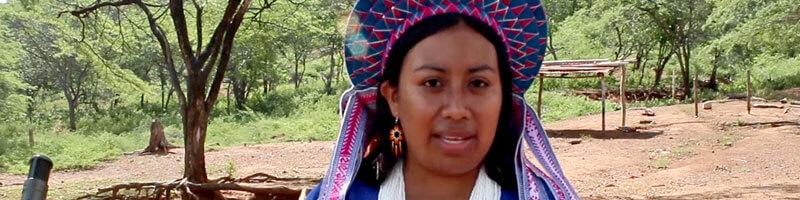 Escuelas propias y procesos de formación en comunicación indígena