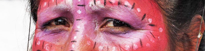 Escuelas propias y procesos de formación en comunicación indígena