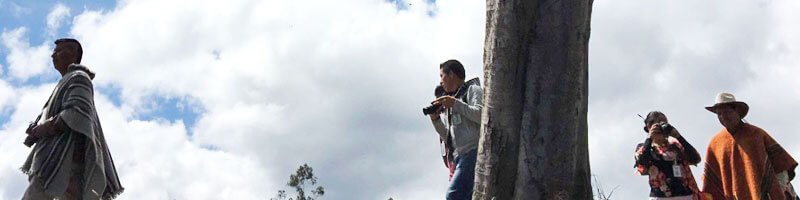 Escuelas propias y procesos de formación en comunicación indígena