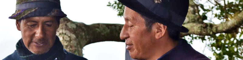 Escuelas propias y procesos de formación en comunicación indígena