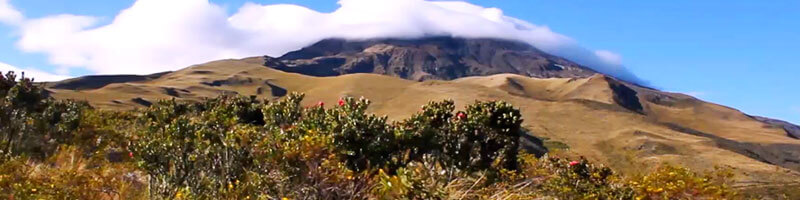 Escuelas propias y procesos de formación en comunicación indígena