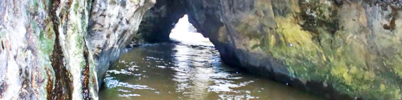 Escuelas propias y procesos de formación en comunicación indígena