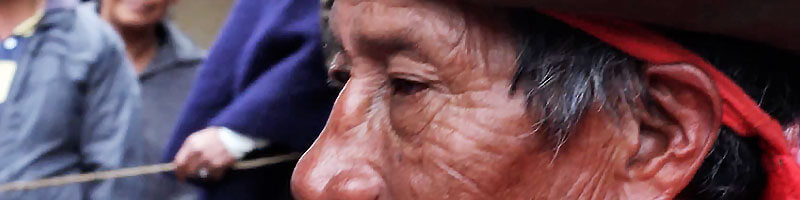 Escuelas propias y procesos de formación en comunicación indígena