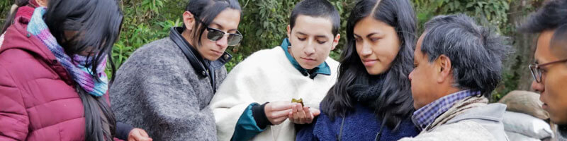 Escuelas propias y procesos de formación en comunicación indígena