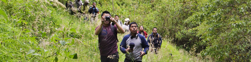 Escuelas propias y procesos de formación en comunicación indígena