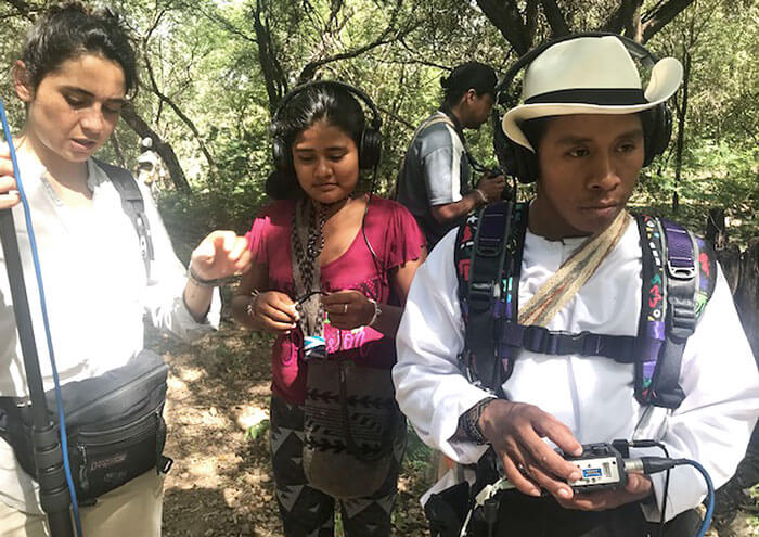 Escuelas propias y procesos de formación en comunicación indígena