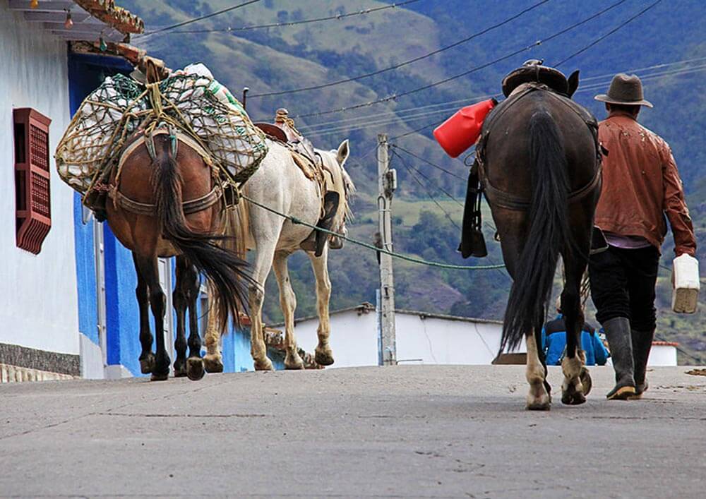 Las fronteras cuentan: memoria, imaginarios, identidad y territorio