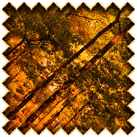 Las Fronteras Cuentan