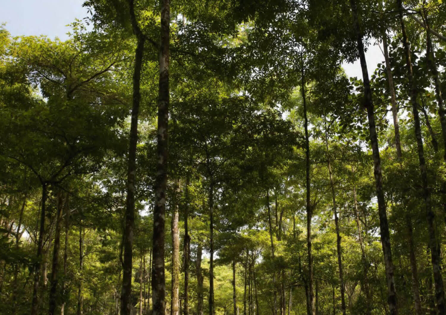 Las fronteras cuentan: memoria, imaginarios, identidad y territorio