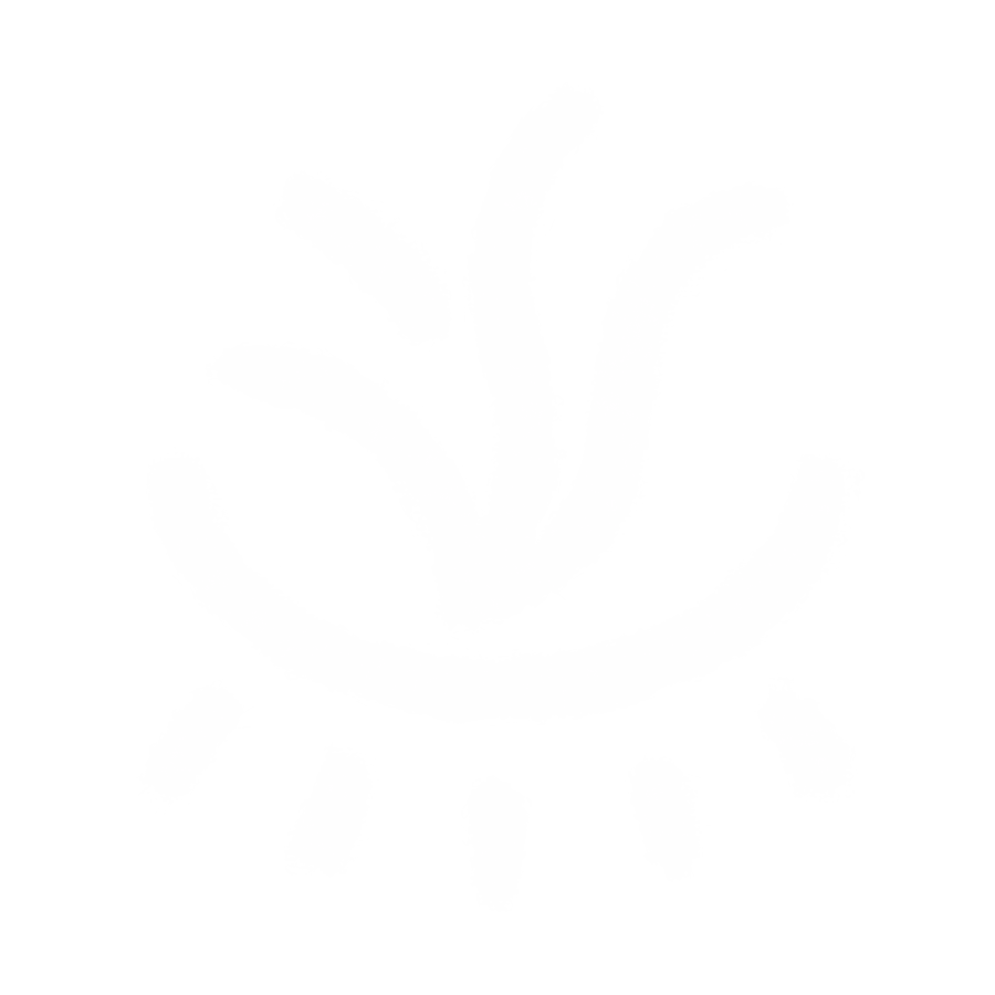 Escuelas propias y procesos de formación en comunicación indígena