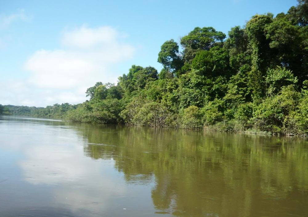 Escuelas propias y procesos de formación en comunicación indígena