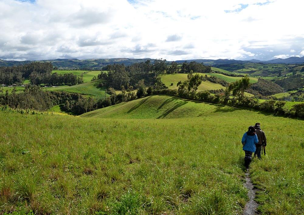 Televisión indígena: becas estímulos a la producción
