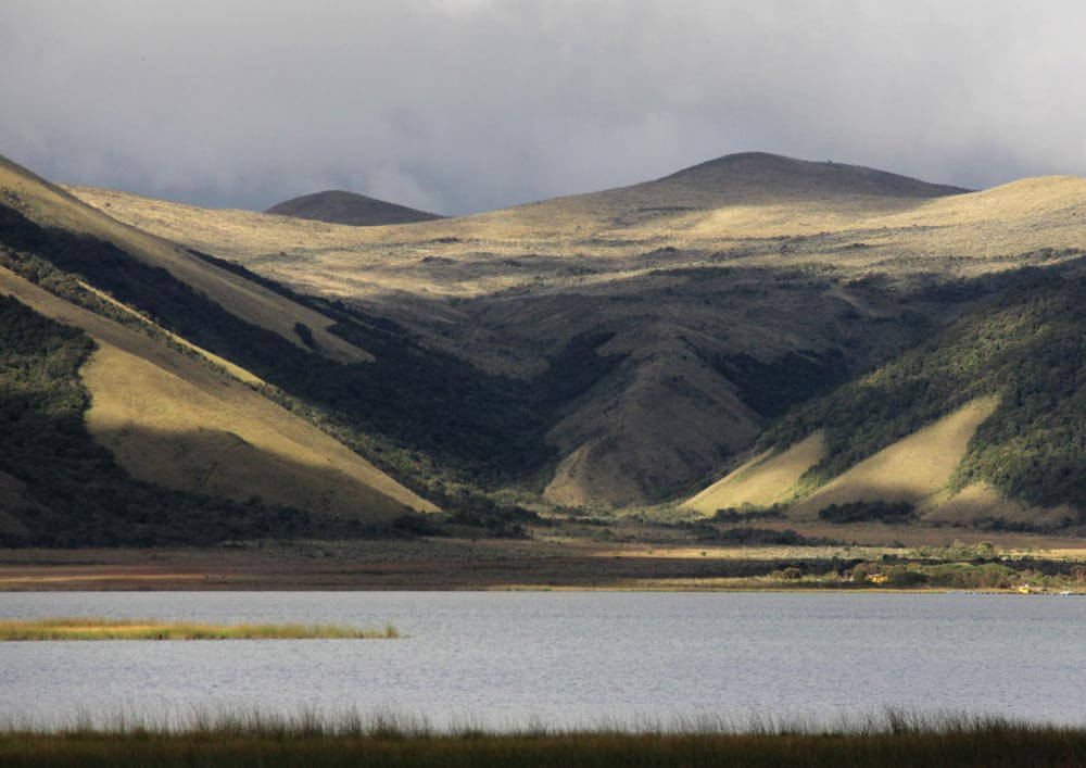 Televisión indígena: becas estímulos a la producción