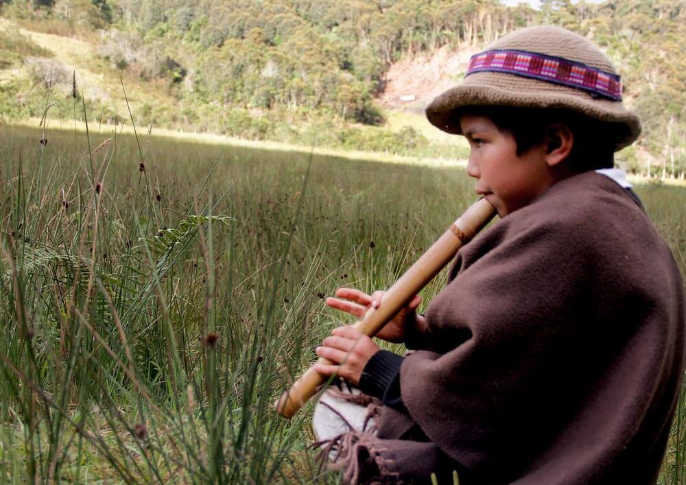 Televisión indígena: becas estímulos a la producción