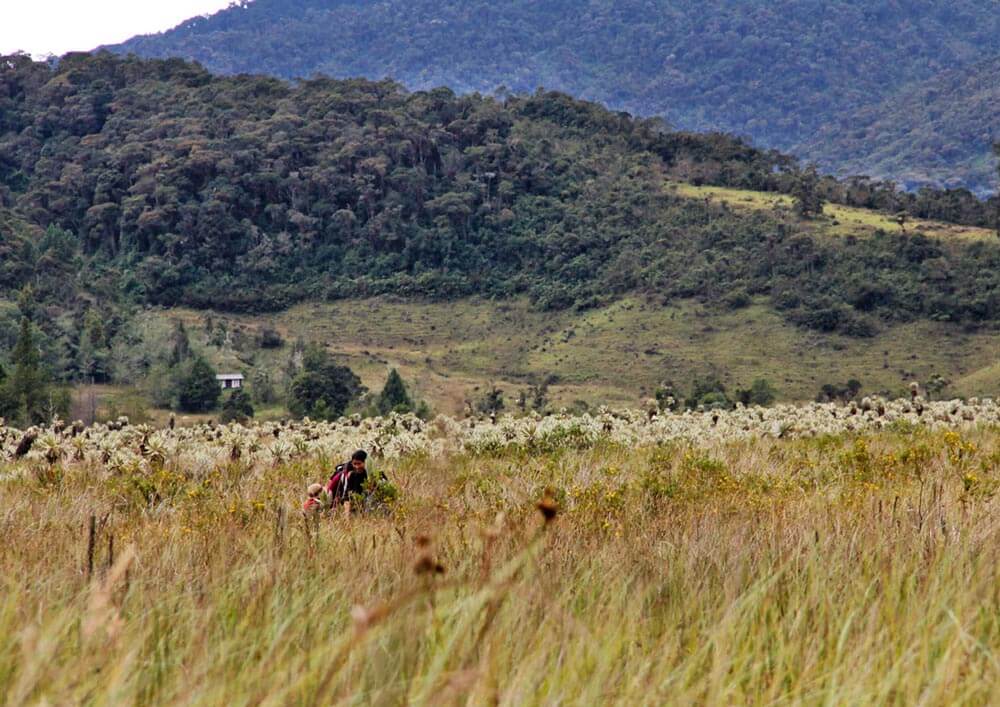 Televisión indígena: becas estímulos a la producción