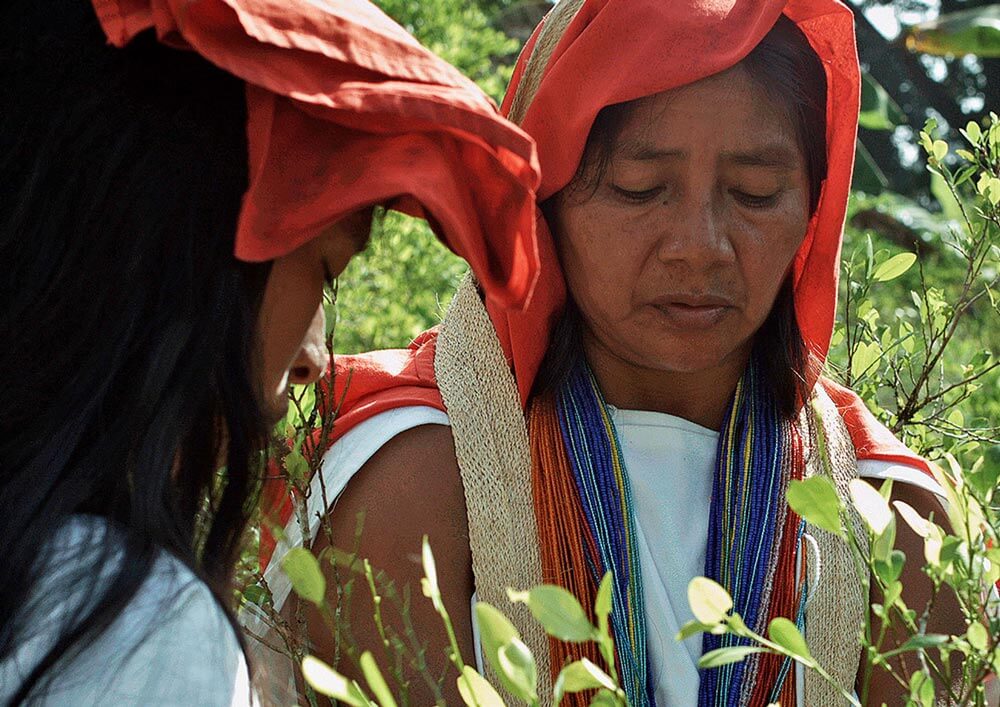 Televisión indígena: becas estímulos a la producción