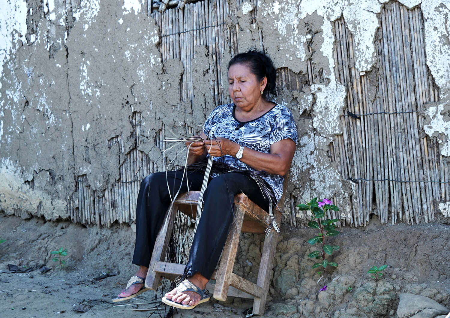 Televisión indígena: becas estímulos a la producción