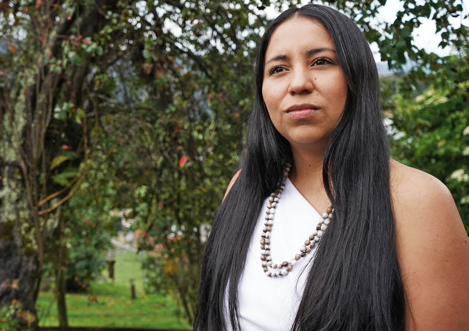 Televisión indígena: becas estímulos a la producción