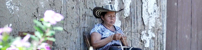 Escuelas propias y procesos de formación en comunicación indígena