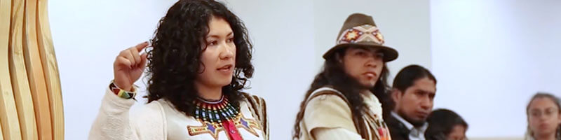 Escuelas propias y procesos de formación en comunicación indígena