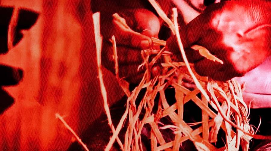 Televisión Indígena