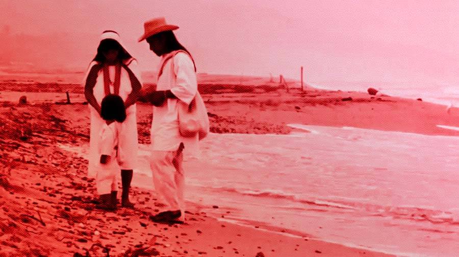 Televisión Indígena