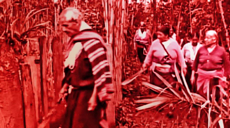 Televisión Indígena